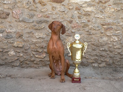 des bords du val d'Ancoeur - Aulane remporte le BIS de la nationale 2010