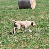 Very Best a obtenu son TAN