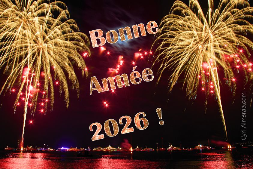 Meilleurs Voeux pour 2026 